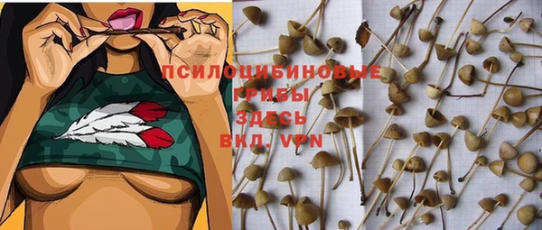 соль курить ск Коряжма